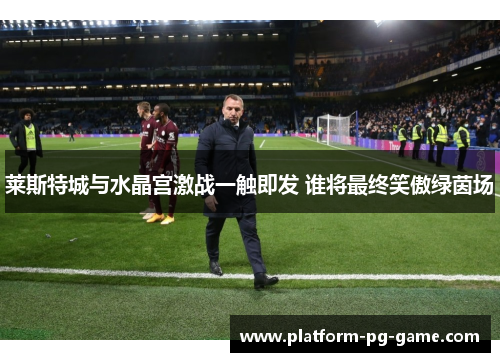 莱斯特城与水晶宫激战一触即发 谁将最终笑傲绿茵场 莱斯特城与水晶宫激战一触即发 谁将最终笑傲绿茵场